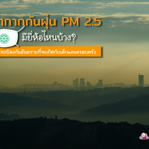 หน้ากากกันฝุ่น PM 2.5 มียี่ห้อไหนบ้าง ที่สามารถป้องกันอันตรายที่จะเกิดกับเด็กและครอบครัว