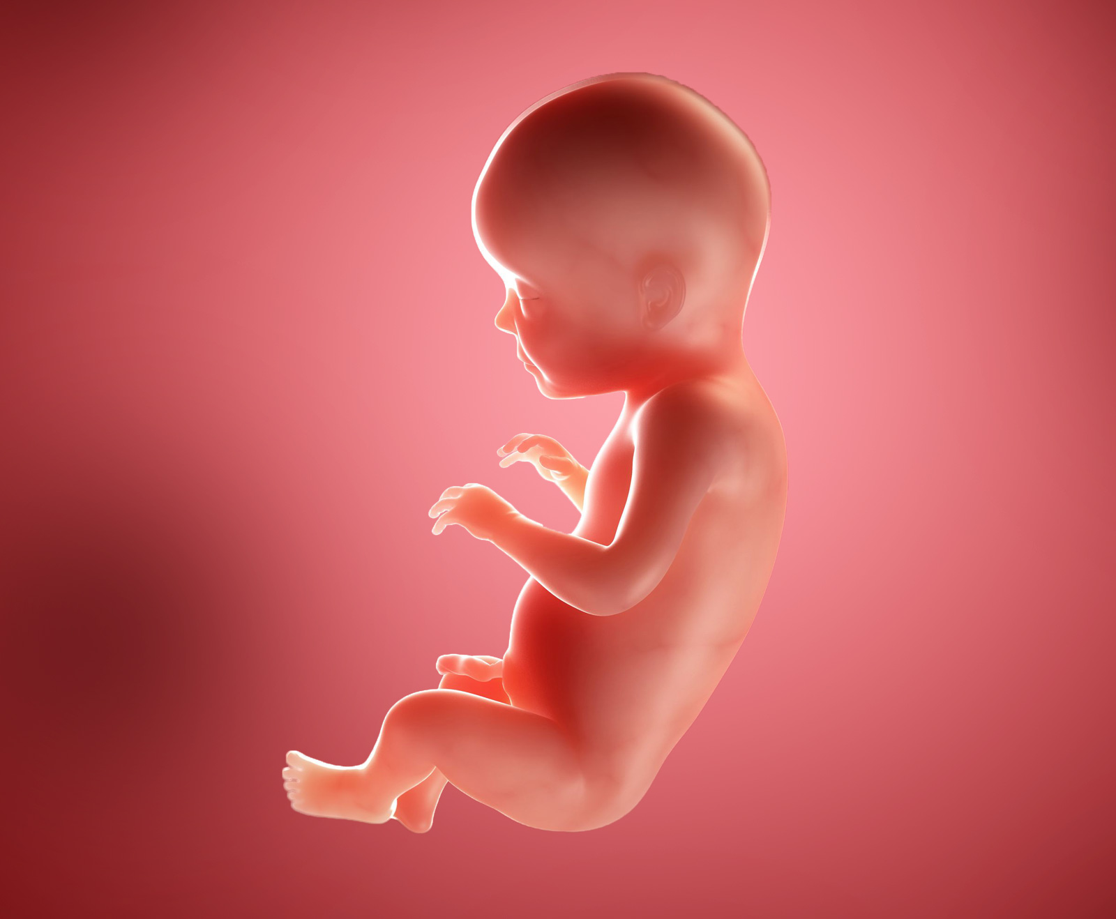 พัฒนาการทารกในครรภ์ 7 เดือน week-28