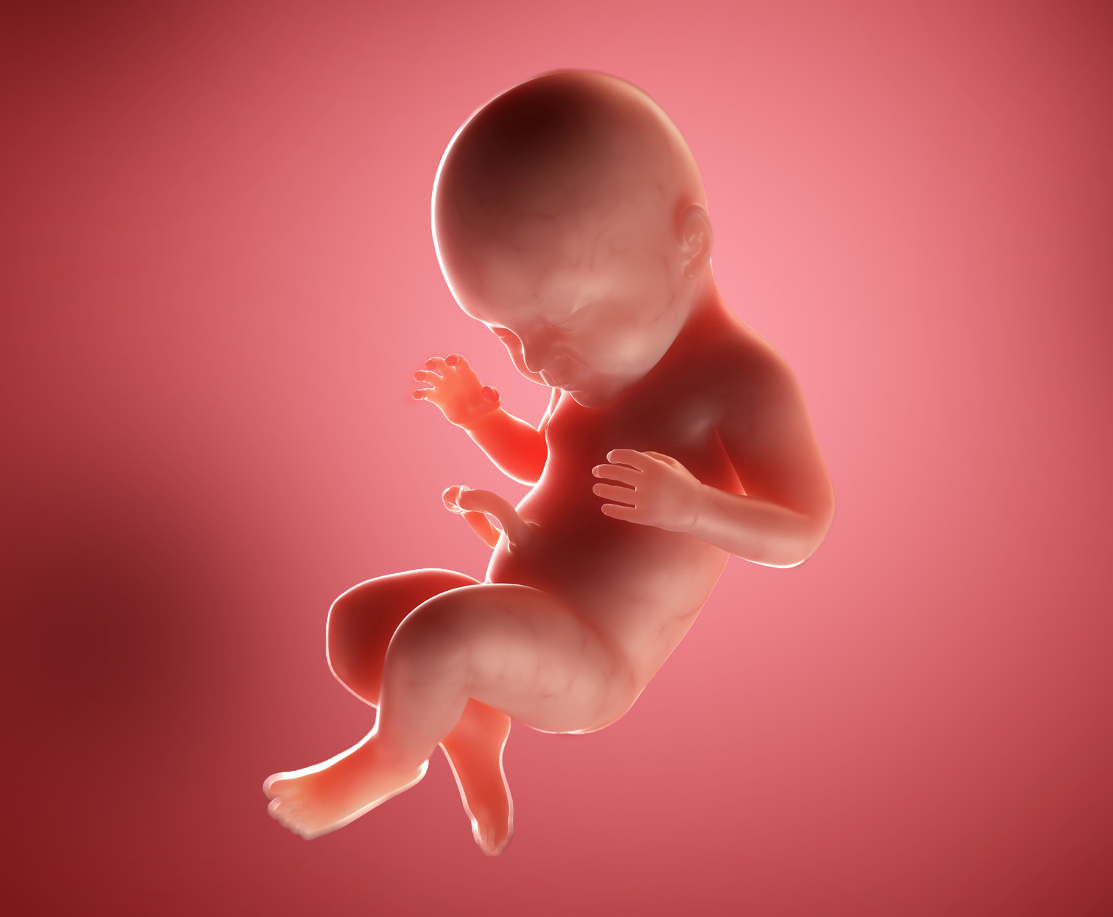 พัฒนาการทารกในครรภ์ 9 เดือน week-40