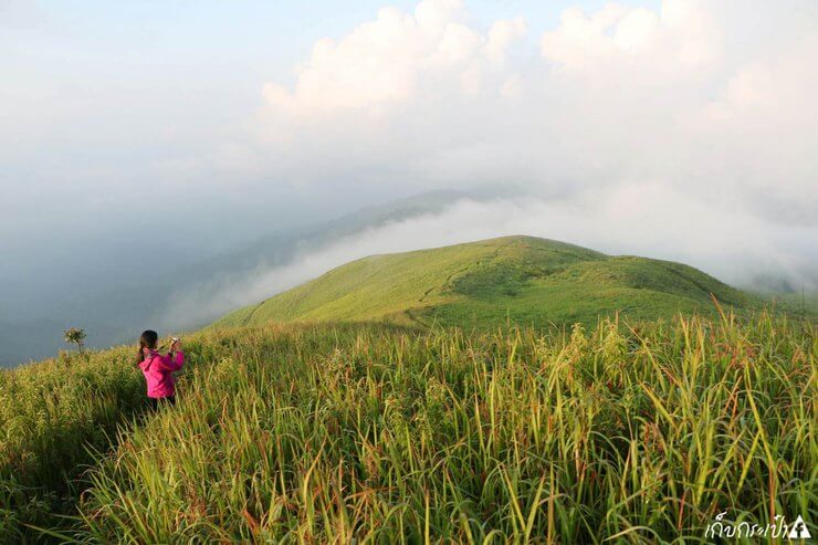 สวนย่าหลวง น่าน